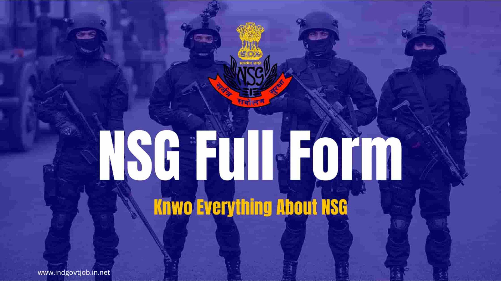 nsg full form